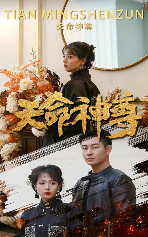 天命神尊海报