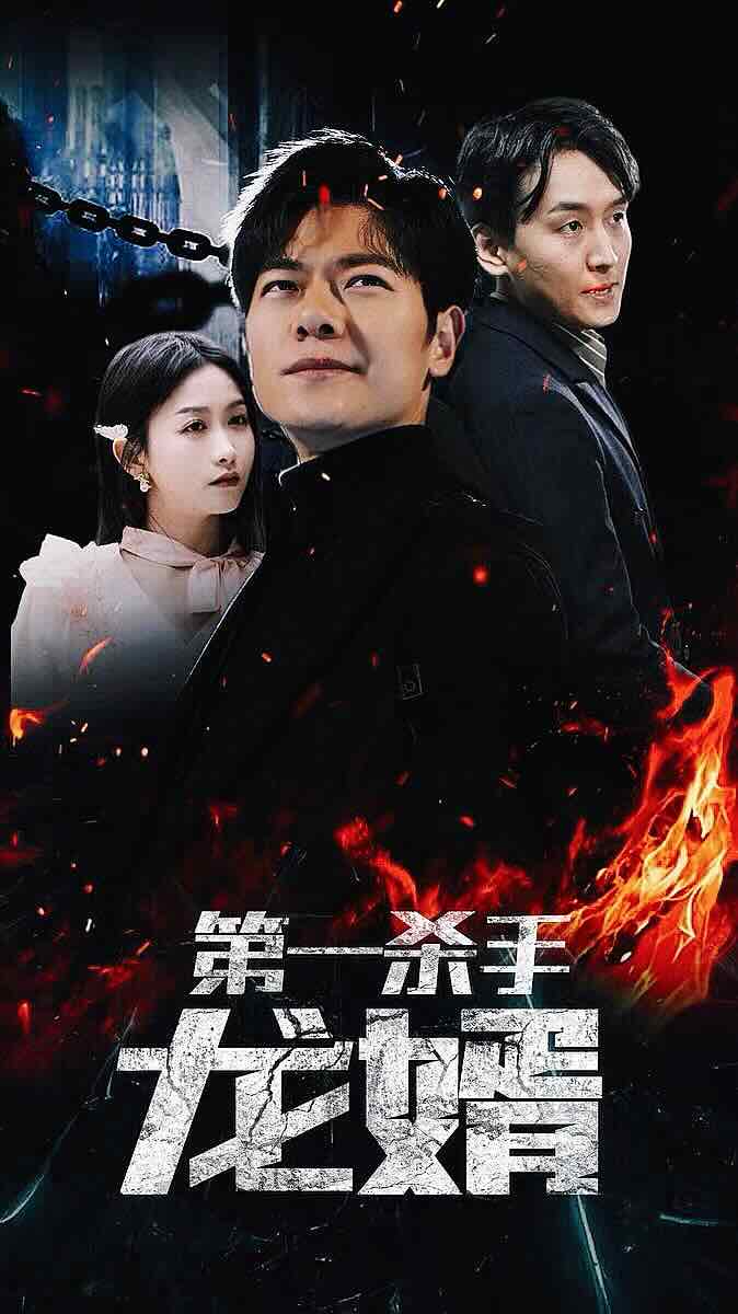 第一杀手龙婿海报