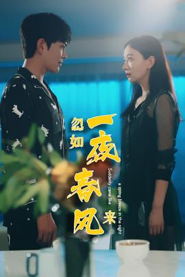 忽如一夜春风来海报