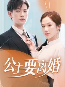 公主要离婚海报