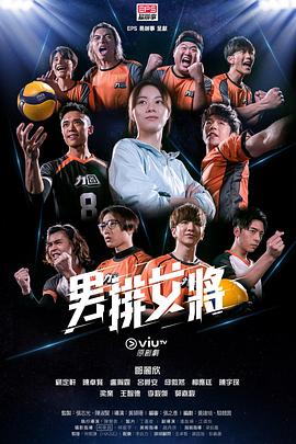男排女将国语海报