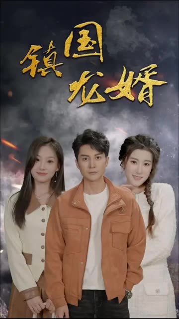 镇国龙婿海报