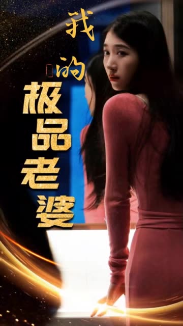 我的极品老婆海报