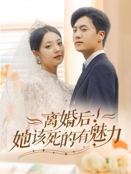 离婚后，她该死的有魅力海报