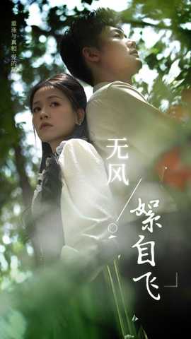 无风絮自飞海报