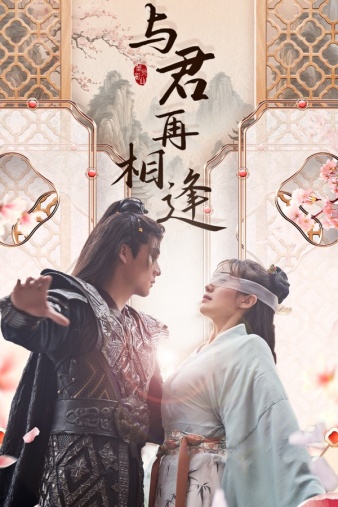 与君再相逢海报