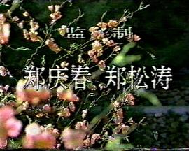 桃色将军海报