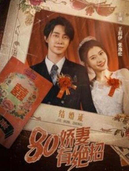 八零娇妻有绝招80娇妻有绝招海报