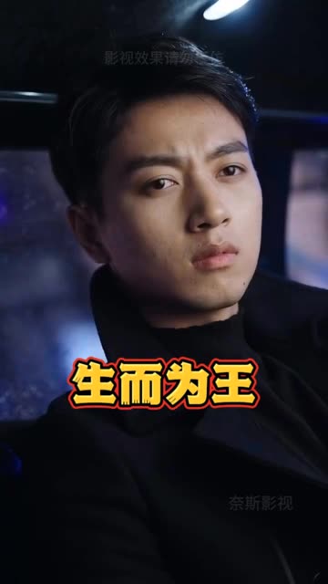 生而为王海报