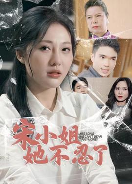 宋小姐她不忍了海报