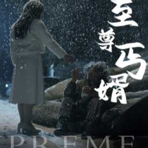 至尊丐婿海报