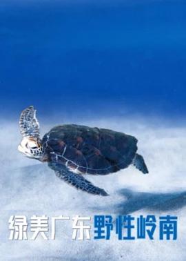 绿美广东野性岭南海报