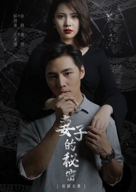 妻子不能说的秘密&妻子的秘密海报