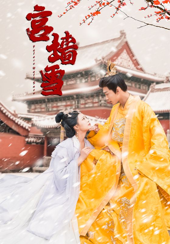 宫墙雪海报