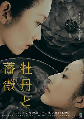 牡丹与玫瑰海报