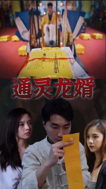 通灵龙婿海报