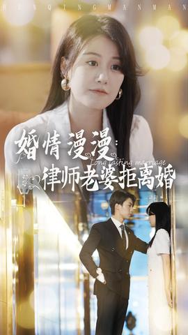 婚情漫漫：律师老婆拒离婚海报