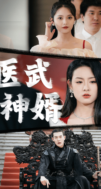 医武神婿海报