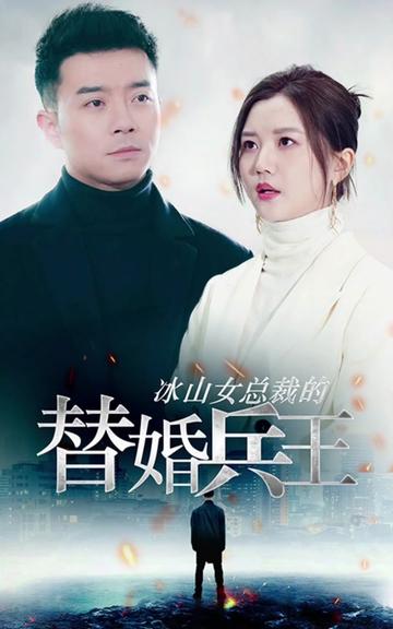 冰山总裁的替婚兵王海报