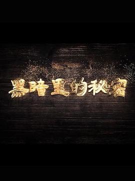 黑暗里的秘密海报