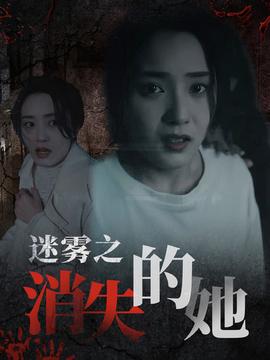 迷雾之消失的她海报