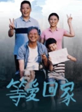 等爱回家海报