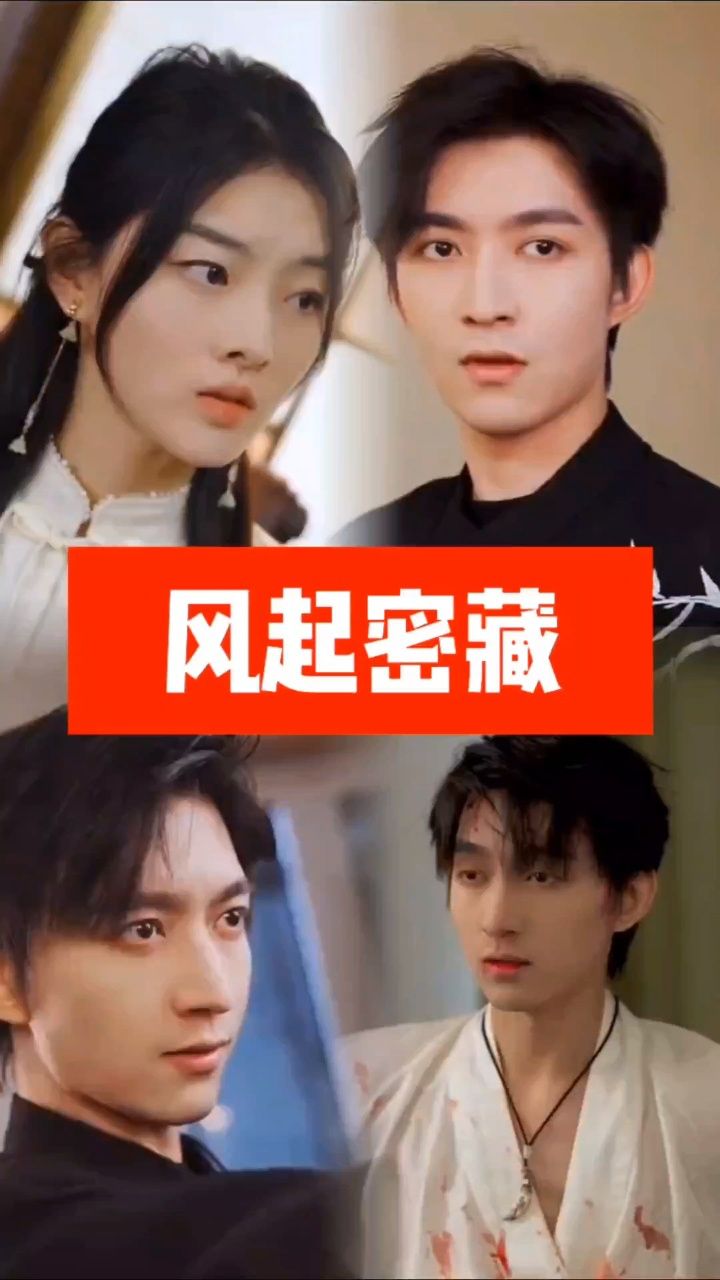 风起密藏海报