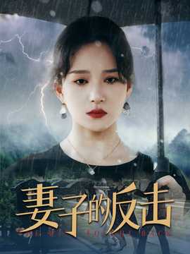 妻子的反击海报