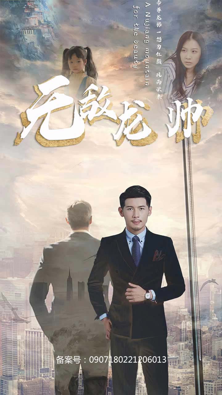 无敌龙帅海报