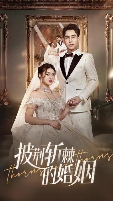 新版：披荆斩棘的婚姻海报