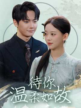待你温柔如故海报