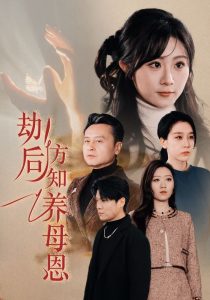 劫后方知养母恩海报