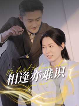 相逢亦难识海报