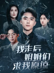 我走后姐姐们求我原谅海报
