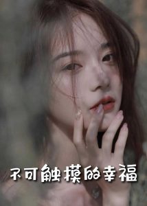 不可触摸的幸福66集海报