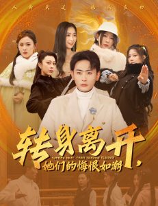 转身离开她们的悔恨如潮海报