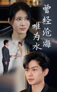 曾经沧海难为水短剧海报