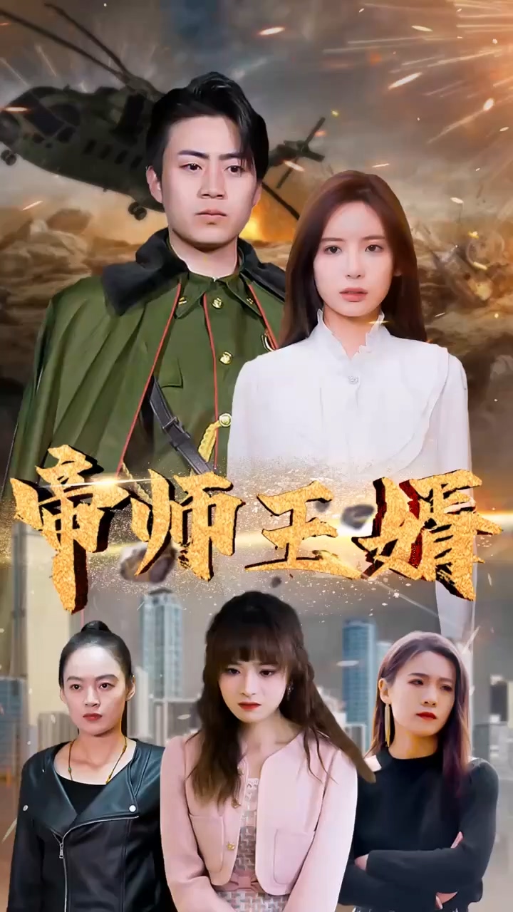帝师王婿海报