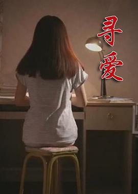 寻爱海报