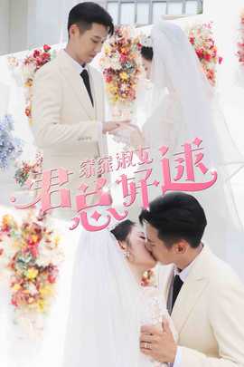 窈窕淑女，君总好逑海报