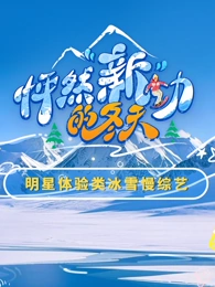 怦然新动的冬天海报
