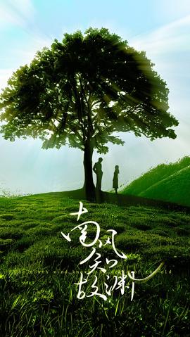 南风知故渊海报