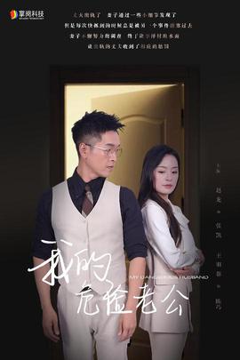 我的危险老公海报