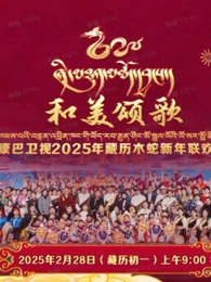 藏历木蛇新年联欢晚会海报