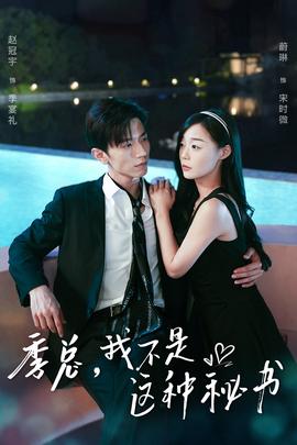 季总，我不是这种秘书海报