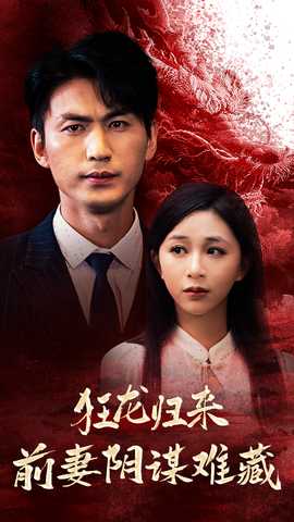 狂龙归来前妻阴谋难藏海报