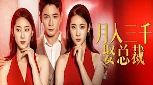 月入三千娶总裁海报
