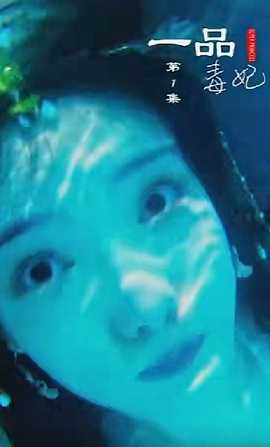 一品毒妃海报