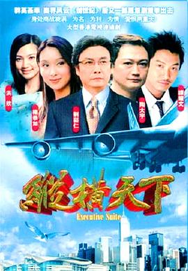 纵横天下粤语海报