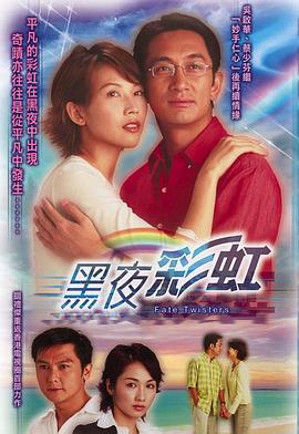 黑夜彩虹国语海报